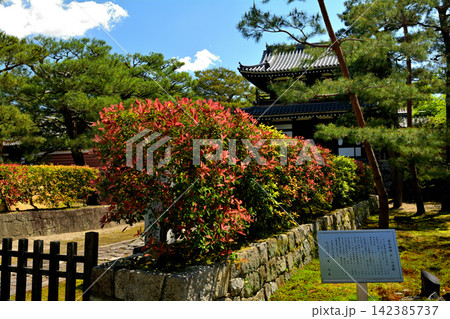 京都・建仁寺 142385737
