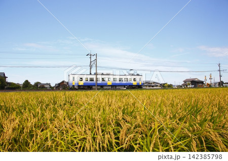 刈り取り間直の稲とロ-カル電車 刈り取り間直の稲とロ-カル電車 142385798