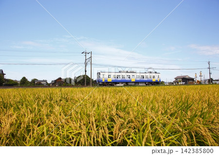 刈り取り間直の稲とロ-カル電車 刈り取り間直の稲とロ-カル電車 142385800