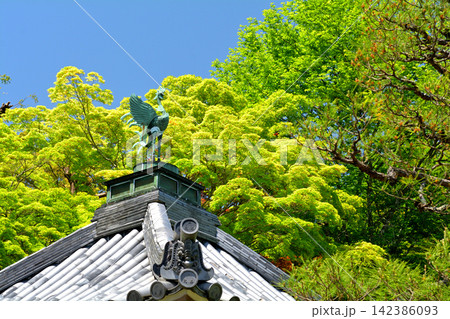 京都・嵯峨野　二尊院 142386093