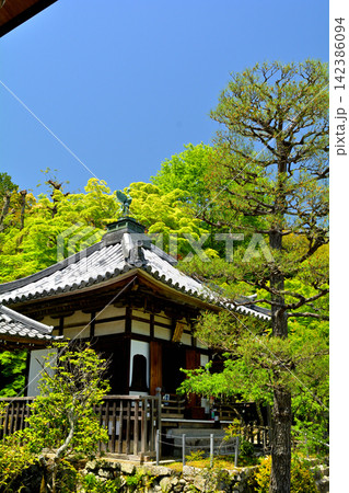 京都・嵯峨野　二尊院 142386094