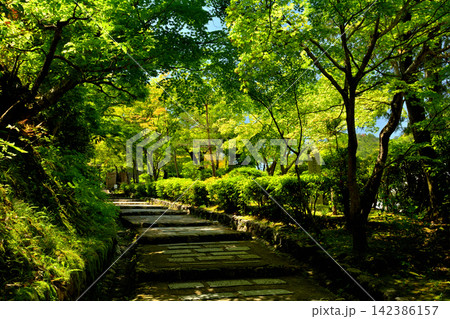 京都・嵯峨野　化野念仏寺 142386157