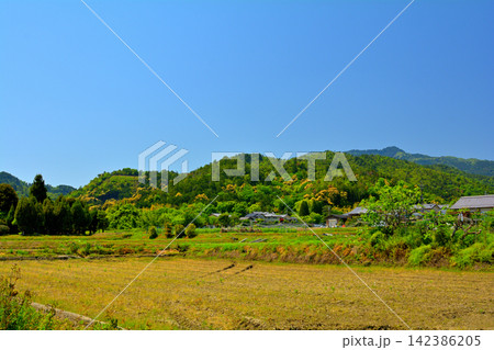 京都・嵯峨野 京都・嵯峨野 142386205