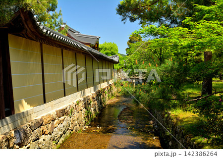 京都・嵯峨野 大覚寺 京都・嵯峨野 大覚寺 142386264