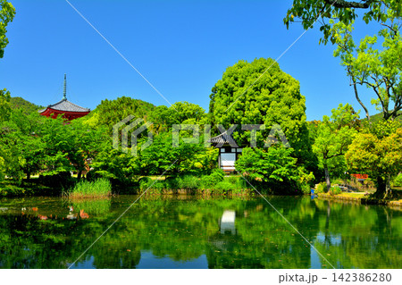 京都・嵯峨野 大覚寺 京都・嵯峨野 大覚寺 142386280