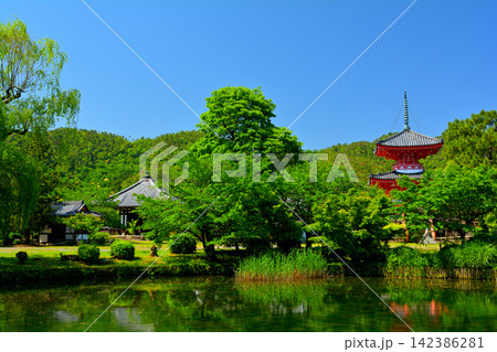 京都・嵯峨野 大覚寺 京都・嵯峨野 大覚寺 142386281