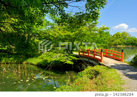 京都・嵯峨野 大覚寺 京都・嵯峨野 大覚寺 142386284