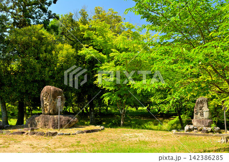 京都・嵯峨野 大覚寺 京都・嵯峨野 大覚寺 142386285