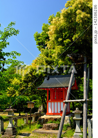 京都・嵯峨野 大覚寺 京都・嵯峨野 大覚寺 142386286