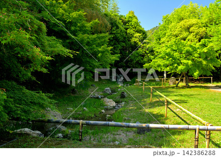 京都・嵯峨野 大覚寺 京都・嵯峨野 大覚寺 142386288