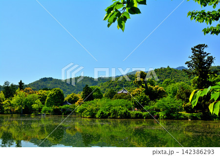 京都・嵯峨野 大覚寺 京都・嵯峨野 大覚寺 142386293