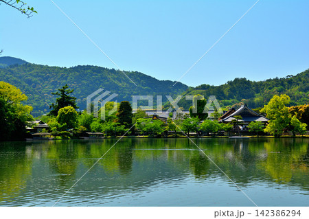 京都・嵯峨野 大覚寺 京都・嵯峨野 大覚寺 142386294