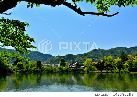 京都・嵯峨野 大覚寺 京都・嵯峨野 大覚寺 142386295