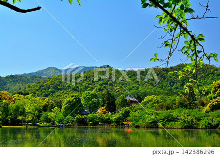 京都・嵯峨野 大覚寺 京都・嵯峨野 大覚寺 142386296