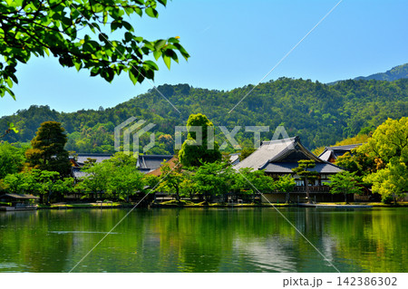 京都・嵯峨野 大覚寺 京都・嵯峨野 大覚寺 142386302