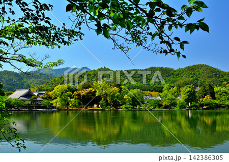 京都・嵯峨野 大覚寺 京都・嵯峨野 大覚寺 142386305