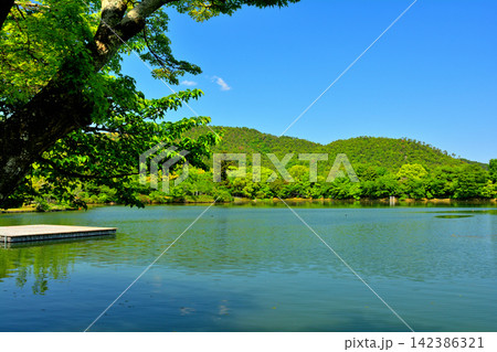 京都・嵯峨野 大覚寺 京都・嵯峨野 大覚寺 142386321