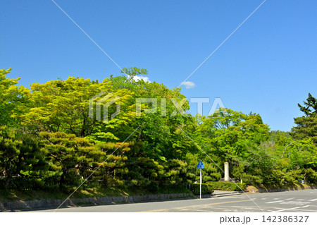 京都・嵯峨野 大覚寺 京都・嵯峨野 大覚寺 142386327