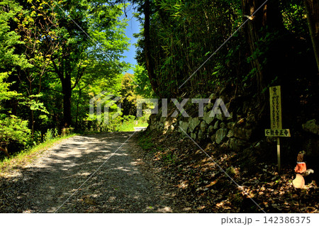 日本100名城・観音寺城 日本100名城・観音寺城 142386375