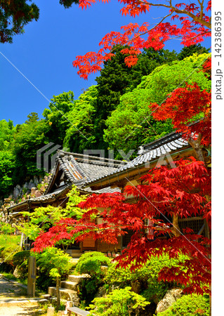 日本100名城・観音寺城 142386395