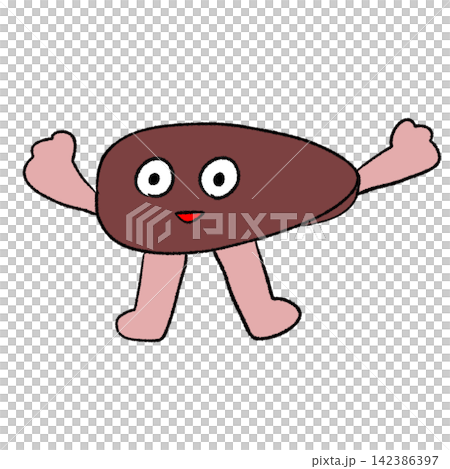 健康肝臟的插圖 健康肝臟的插圖 142386397