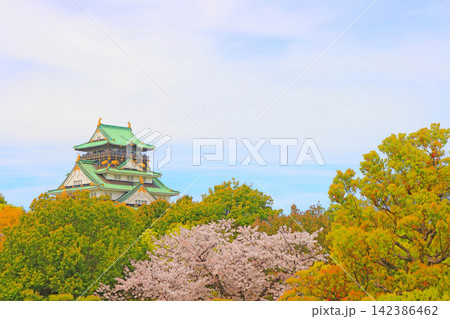 大阪府大阪市、桜と大阪城の風景 大阪府大阪市、桜と大阪城の風景 142386462