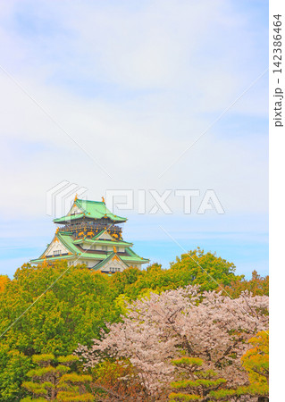 大阪府大阪市、桜と大阪城の風景 大阪府大阪市、桜と大阪城の風景 142386464