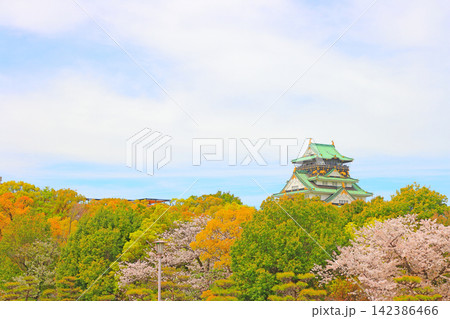 大阪府大阪市、桜と大阪城の風景 大阪府大阪市、桜と大阪城の風景 142386466