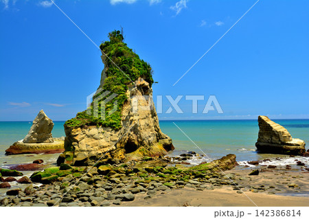 千葉・房総 雀島 千葉・房総 雀島 142386814