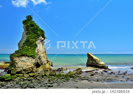 千葉・房総 雀島 千葉・房総 雀島 142386816