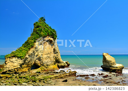 千葉・房総 雀島 千葉・房総 雀島 142386823