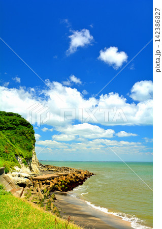 千葉・房総 雀島 千葉・房総 雀島 142386827