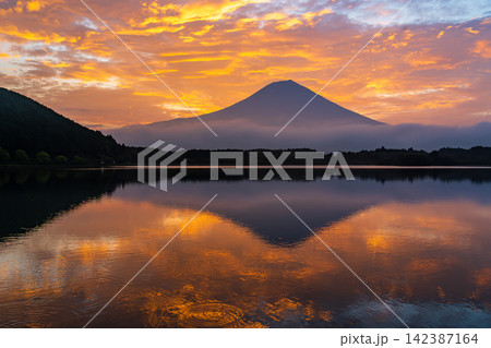 夏の富士宮市 田貫湖に映る朝焼け雲と富士山 夏の富士宮市 田貫湖に映る朝焼け雲と富士山 142387164