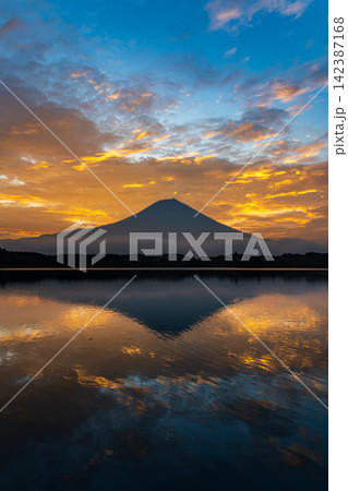 夏の富士宮市 田貫湖に映る朝焼け雲と富士山 夏の富士宮市 田貫湖に映る朝焼け雲と富士山 142387168
