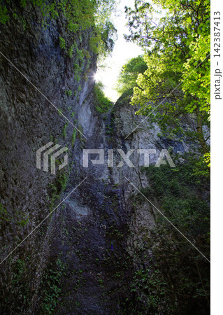 初夏の岩古谷山 女滝(愛知県設楽町) 初夏の岩古谷山 女滝(愛知県設楽町) 142387413