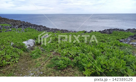 沖縄県辺戸岬 沖縄県辺戸岬 142389120