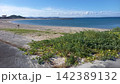 沖縄あざまサンサンビーチ 142389132