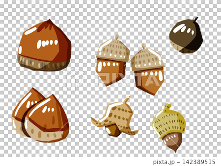 Nut illustration Nut illustration 142389515