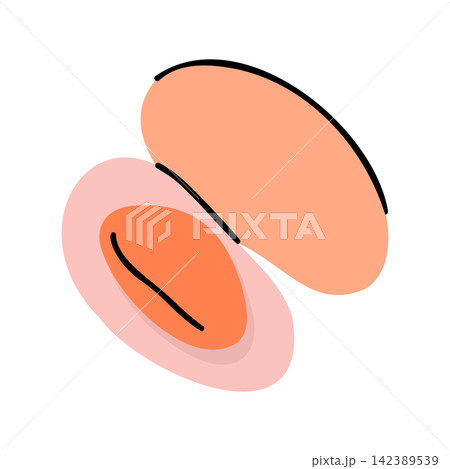Open Pink Clam Shell Vongole Meat Isolated Seafood Clipart Open Pink Clam Shell Vongole Meat Isolated Seafood Clipart 142389539