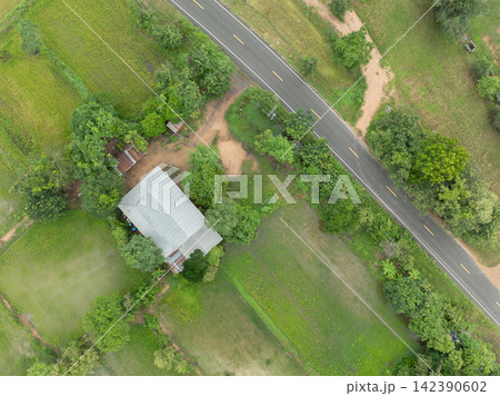 Aerial view of rural farmhouse beside paved road and green rice fields during rainy season. Agricultural land, countryside infrastructure and local transportation supporting farming community. Aerial view of rural farmhouse beside paved road and green rice fields during rainy season. Agricultural land, countryside infrastructure and local transportation supporting farming community. 142390602