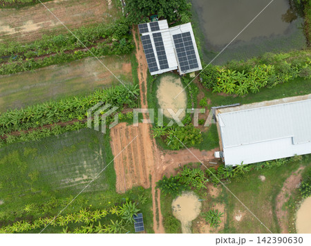 Aerial top view of integrated tropical farm with rooftop solar panels, combining renewable energy, sustainable agriculture and food production. Clean energy, food security and rural development. 142390630