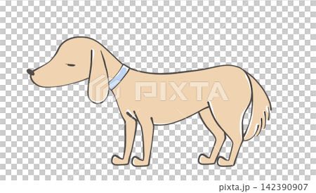 Illustration of a sick dog Illustration of a sick dog 142390907