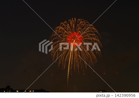 花火 142390956