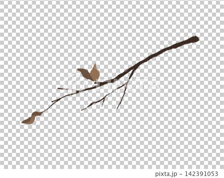 手描き風の枯れ枝のイラスト 手描き風の枯れ枝のイラスト 142391053