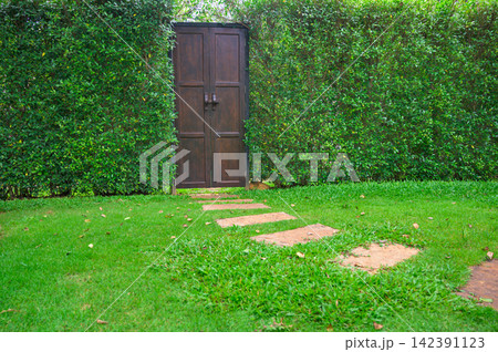 Beautiful garden with stone walkway leading to a wooden gate, surrounded by green hedge wall. outdoor garden design landscape concept. Beautiful garden with stone walkway leading to a wooden gate, surrounded by green hedge wall. outdoor garden design landscape concept. 142391123