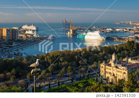 Seagull overlooking the Port of Malaga and City Hall at sunrise Seagull overlooking the Port of Malaga and City Hall at sunrise 142391310