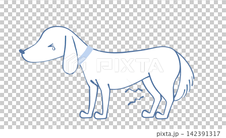 Illustration of a dog with a sore knee Illustration of a dog with a sore knee 142391317
