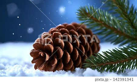 Pine cone lying in snow with evergreen branch 142391341