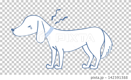 首が痛い犬のイラスト 首が痛い犬のイラスト 142391388
