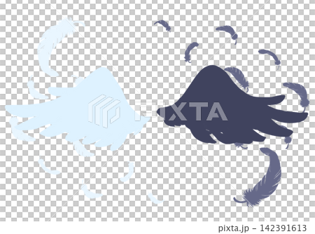 White and black wings and fluttering feathers - silhouette 142391613